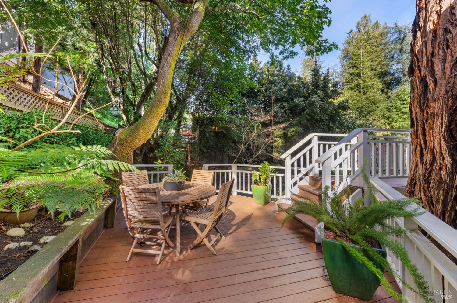 43 Creek Road San Anselmo, CA 94960 - Photo 24 of 31
