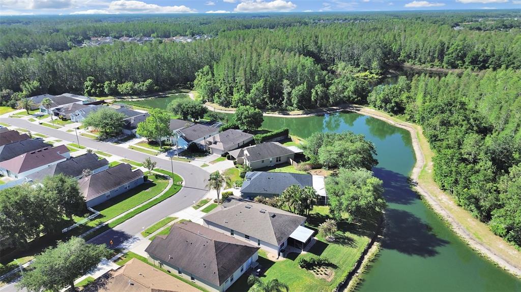 30612 Nickerson Loop Wesley Chapel, FL 33543 - Photo 3 of 47 a view of a garden with a lake