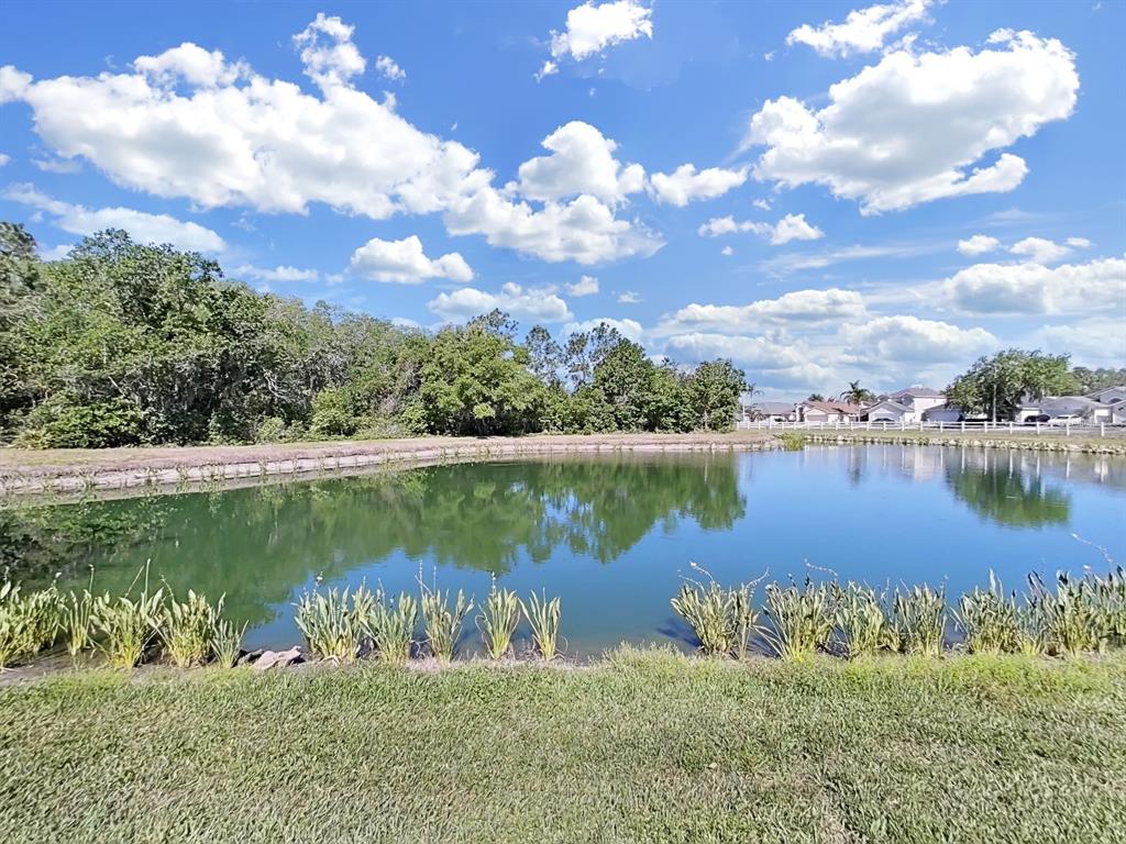 30612 Nickerson Loop Wesley Chapel, FL 33543 - Photo 46 of 47 a view of a lake