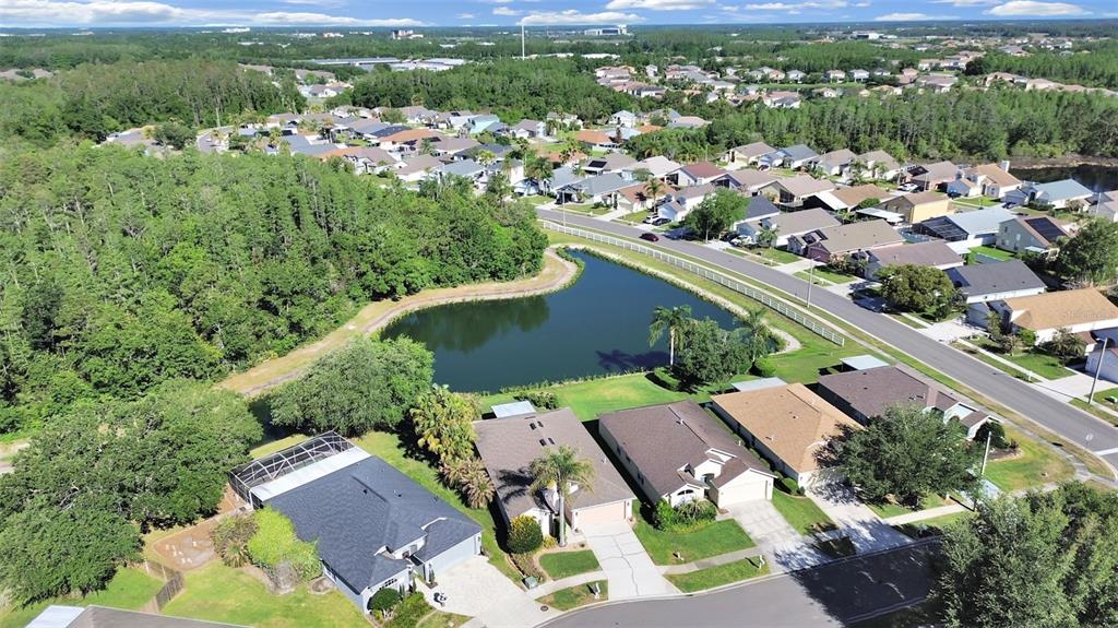 30612 Nickerson Loop Wesley Chapel, FL 33543 - Photo 47 of 47 an aerial view of a house with a yard