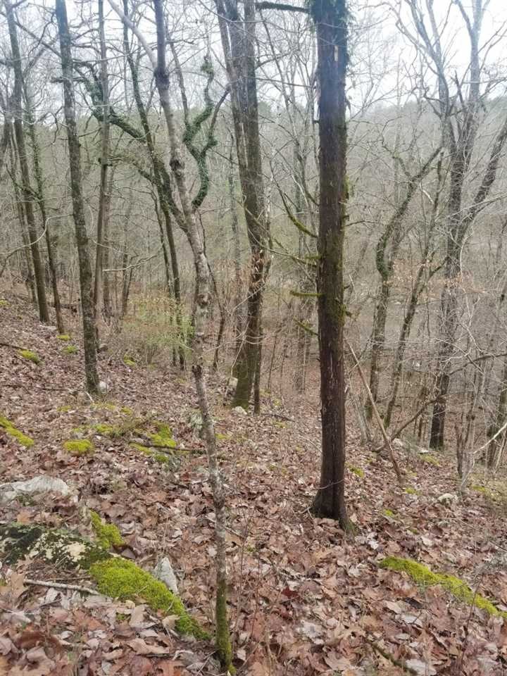 0 Red Cloud Trail Spring City, TN 37381 - Photo 5 of 8 Gallery Image 5