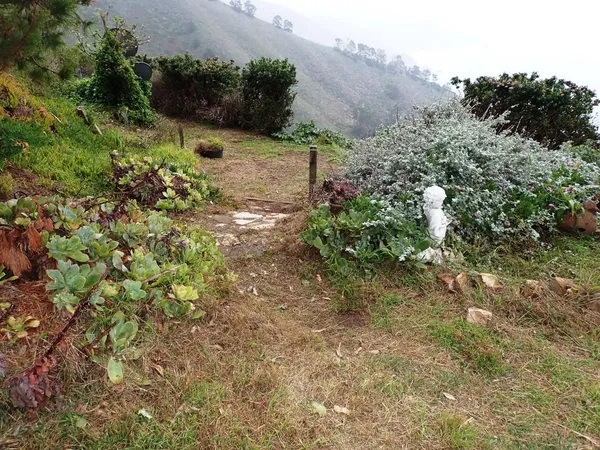 $1,700,000 | 36260 Highway 1, Carmel, CA 93923