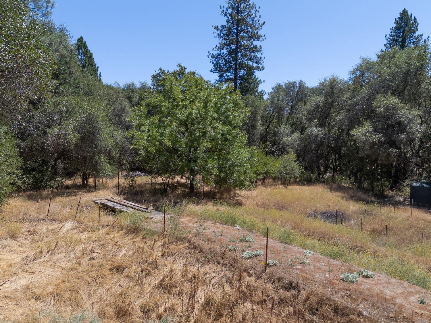 14158 Neptune Road Rackerby, CA 95972 - Photo 74 of 97