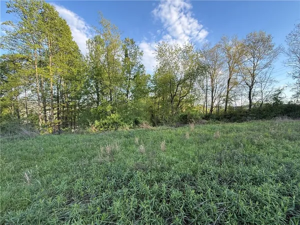 a view of a lush green space