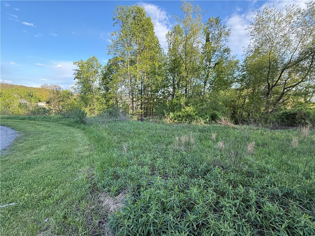 139 Crystal Drive Indiana, PA 15701 - Photo 2 of 7 a view of a lush green space