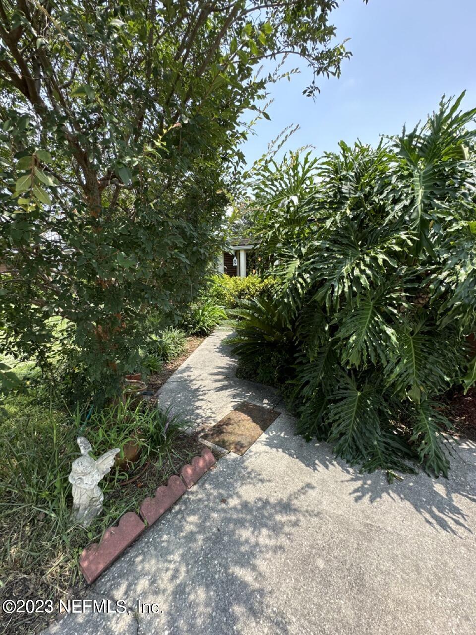 4479 Vinton Road Jacksonville, FL 32207 - Photo 4 of 45 a view of a pathway with a tree