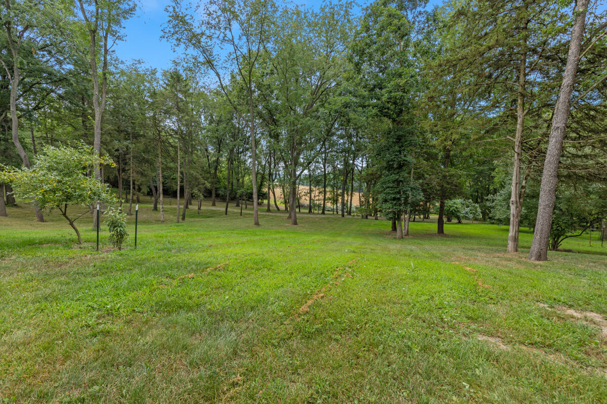 781 Hopkins Road Lyons, MI 48851 - Photo 83 of 99