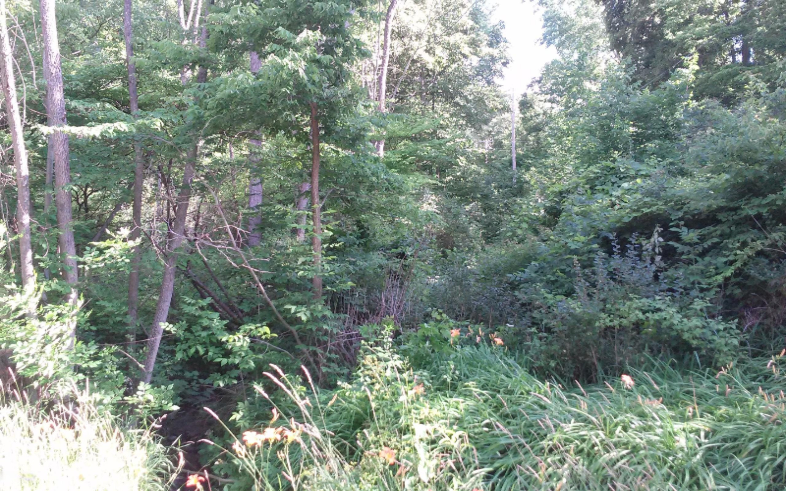 East Riverside Drive Ionia, MI 48846 - Photo 1 of 5 0708141755