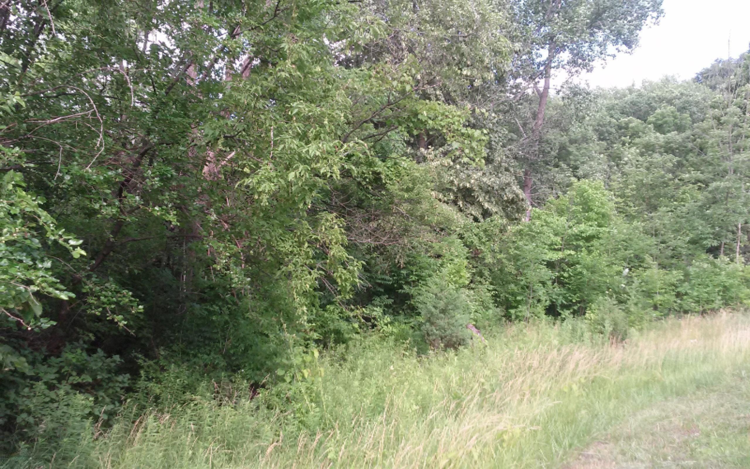 East Riverside Drive Ionia, MI 48846 - Photo 3 of 5 0708141748