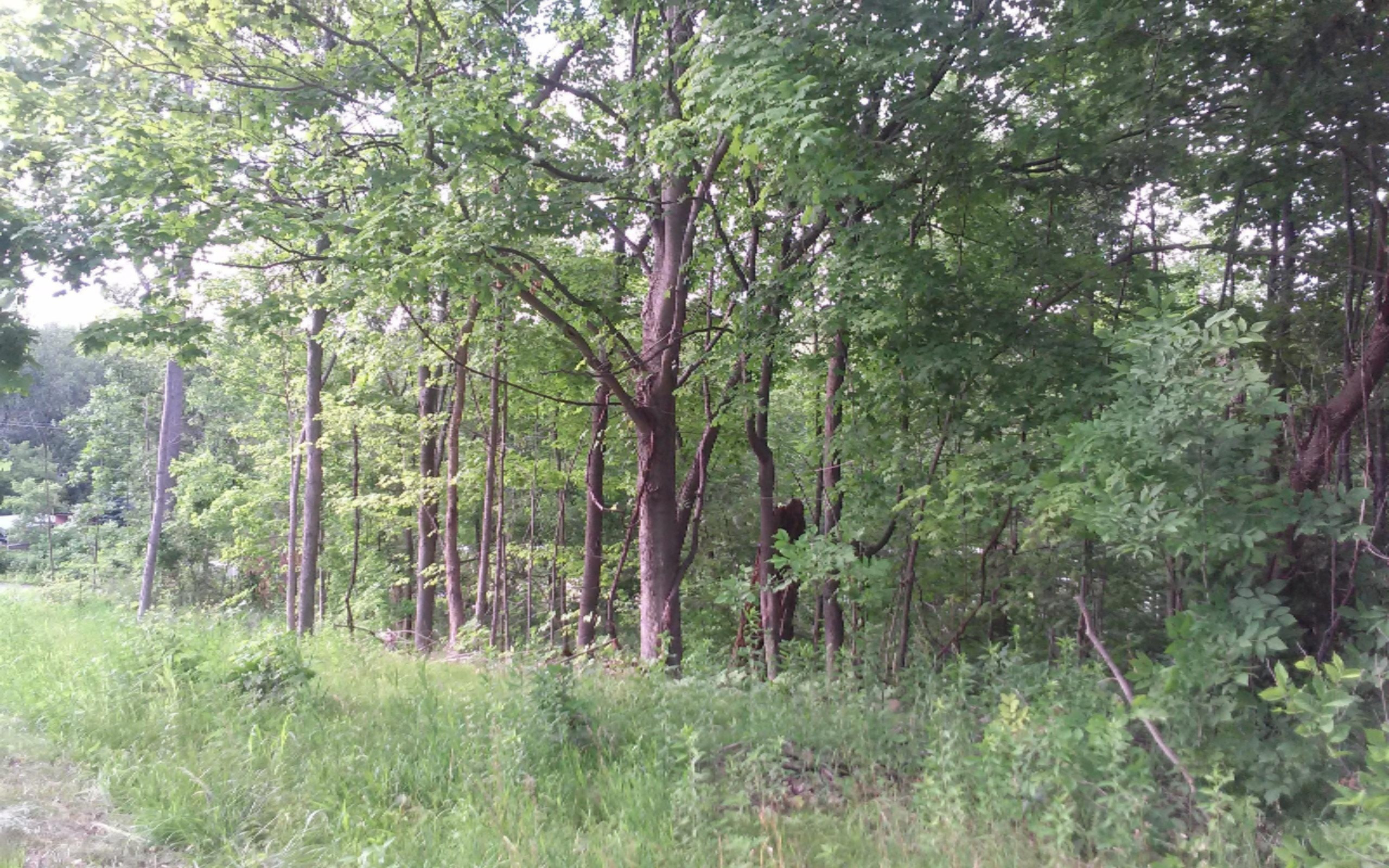 East Riverside Drive Ionia, MI 48846 - Photo 4 of 5 0708141748a