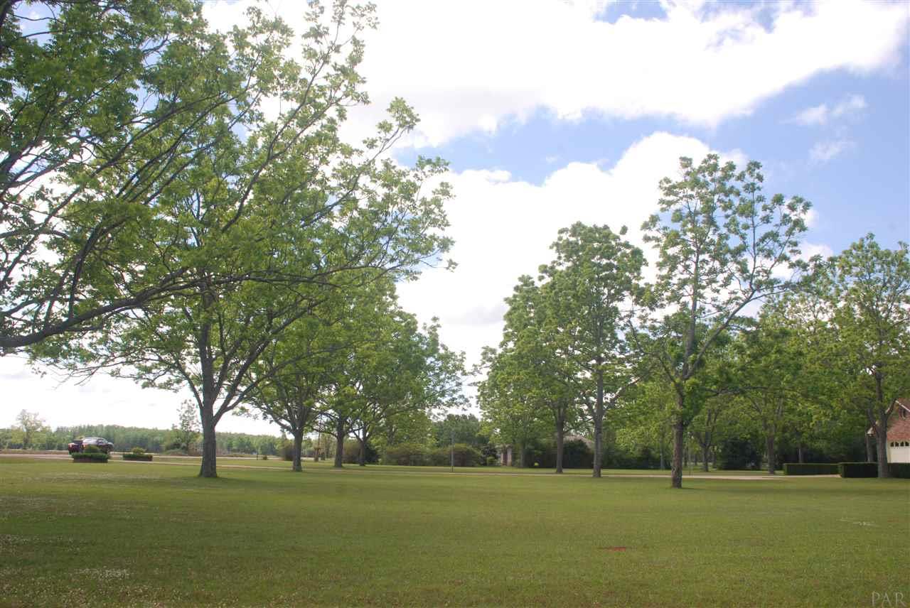 550 Clearview Road Flomaton, AL 36441 - Photo 9 of 49