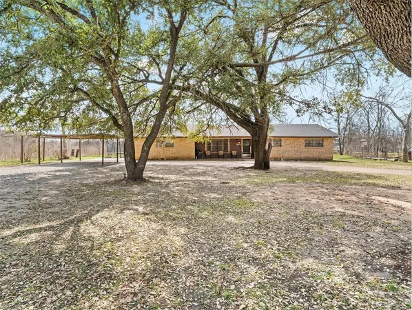 a view of a yard with tree s