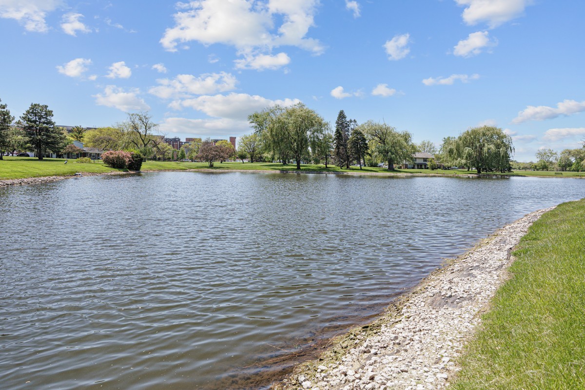 784 Leicester Road Elk Grove Village, IL 60007 - Photo 23 of 27 a view of a lake