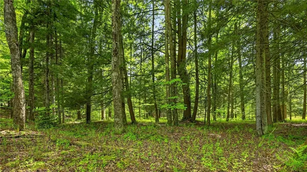 $55,000 | L1.6 L1.6 Crystal Brook Path, Jefferson, NY 12093