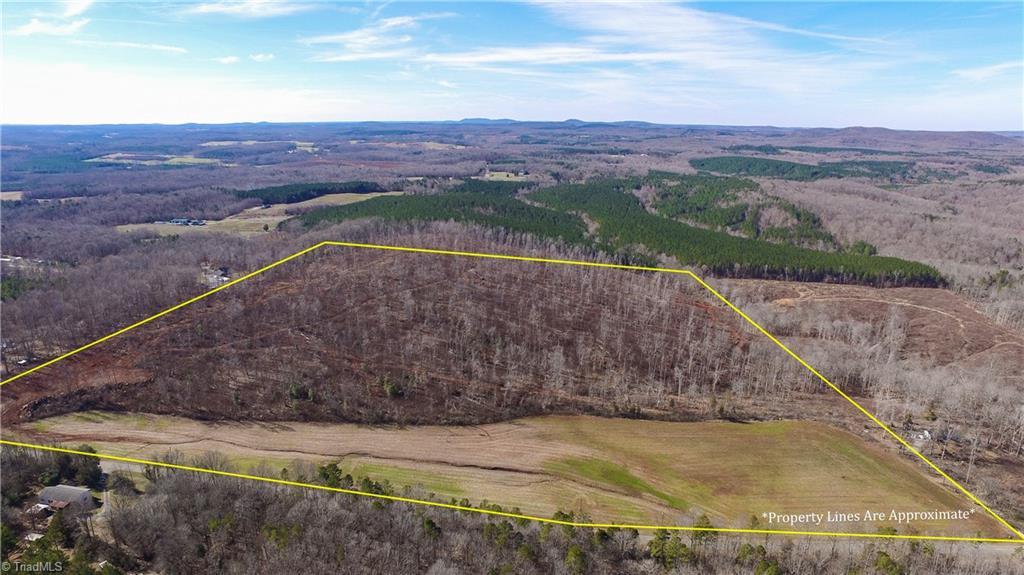 0 Gallimore Dairy Road Denton, NC 27239 - Photo 1 of 5 Gallery Image 1