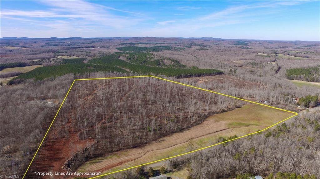 0 Gallimore Dairy Road Denton, NC 27239 - Photo 3 of 5 Gallery Image 3