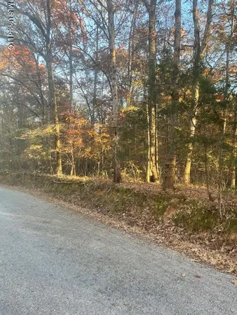 $15,000 | Dogwood Ranch Circle, Byhalia, MS 38611