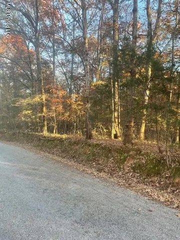 $15,000 | Dogwood Ranch Circle, Byhalia, MS 38611