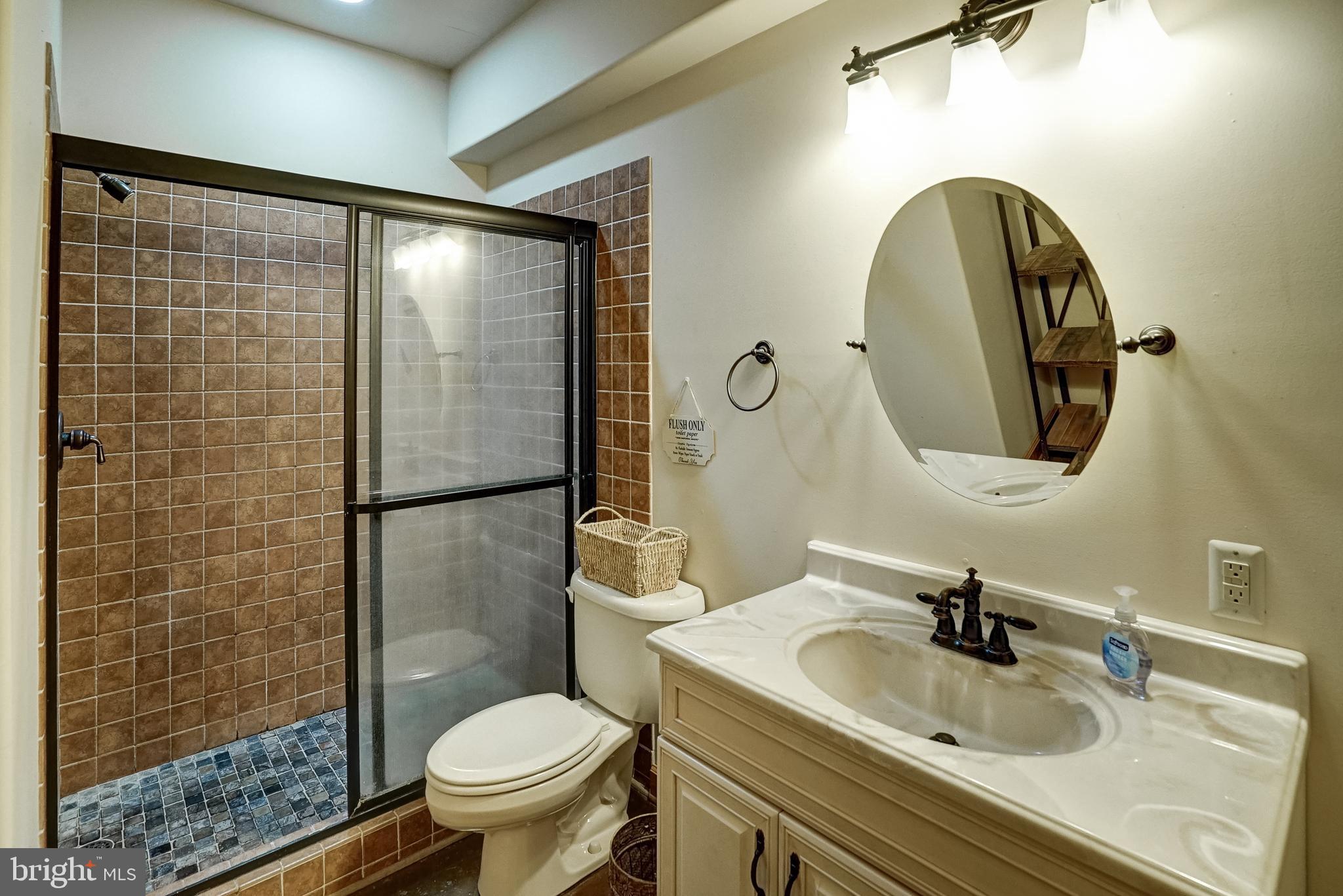 155 Irish Way Bumpass, VA 23024 - Photo 44 of 60 a bathroom with a sink and a mirror