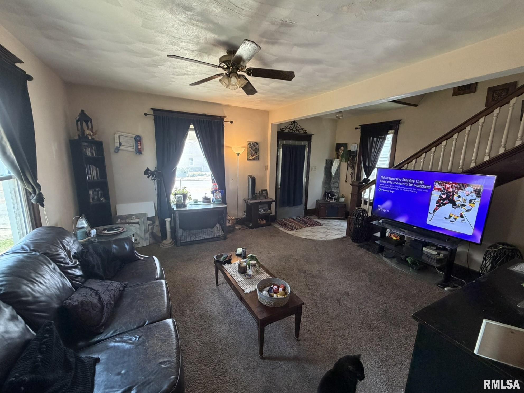 459 East Locust Street Canton, IL 61520 - Photo 5 of 10