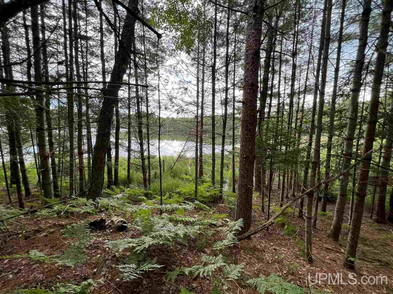 Tbd Sandhill Road Republic, MI 49879 - Photo 1 of 2