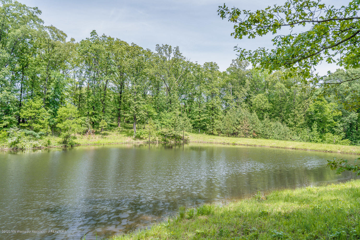 2939 Cyrene Drive Hernando, MS 38632 - Photo 13 of 15 Grays-Creek-Lot-35-snapsold-screen-20277