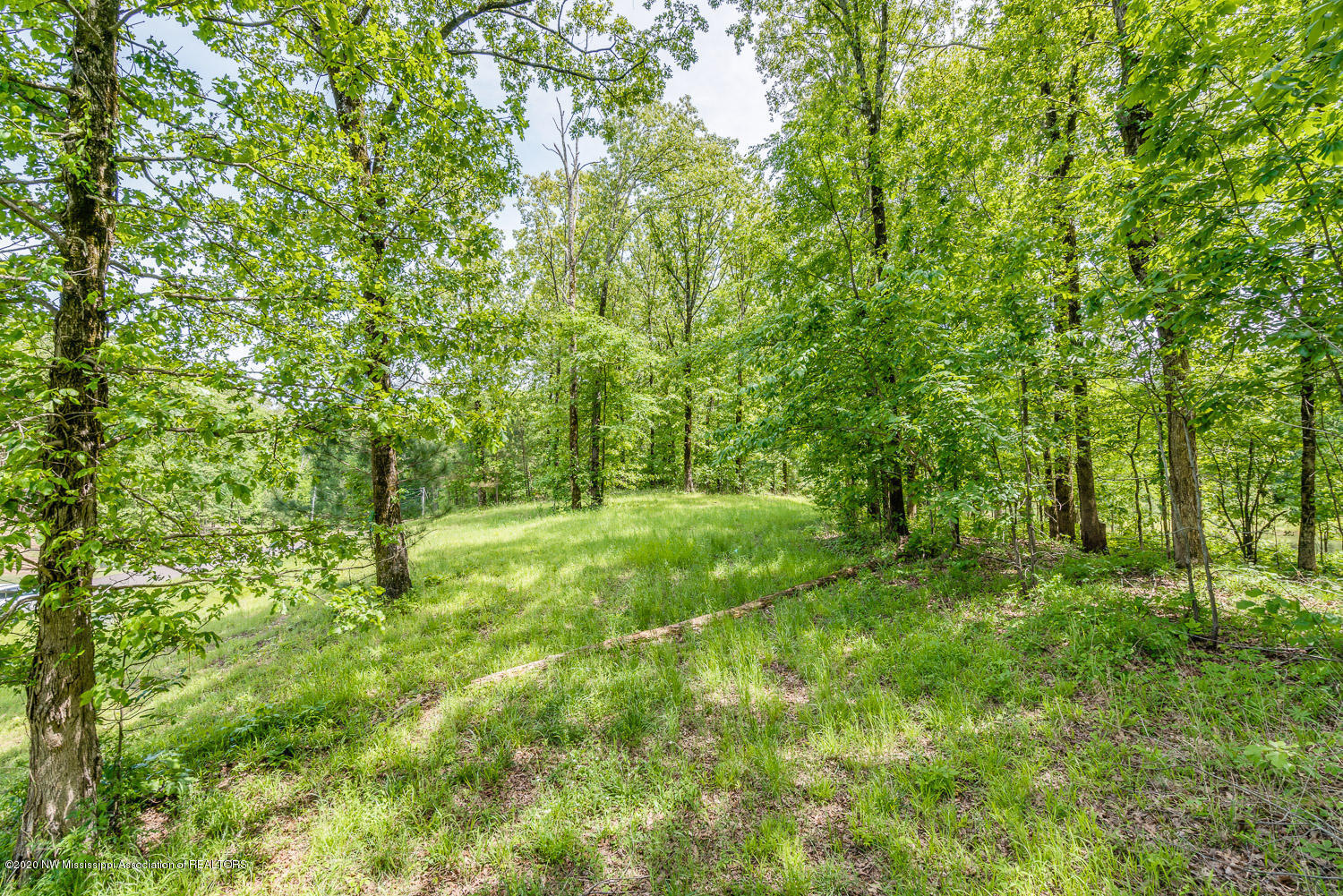 2939 Cyrene Drive Hernando, MS 38632 - Photo 14 of 15 Grays-Creek-Lot-35-snapsold-screen-20277