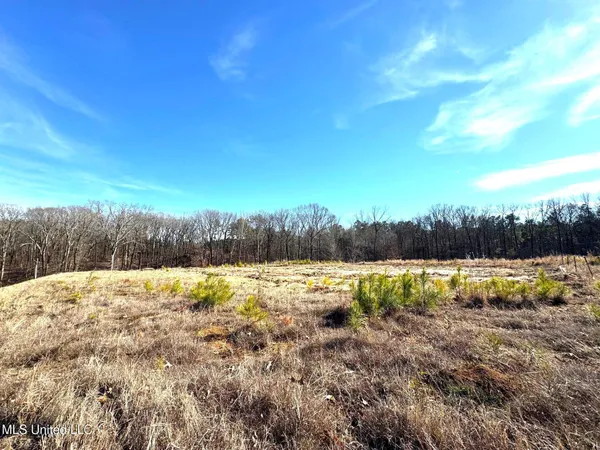 $125,000 | 2939 Cyrene Drive, Hernando, MS 38632