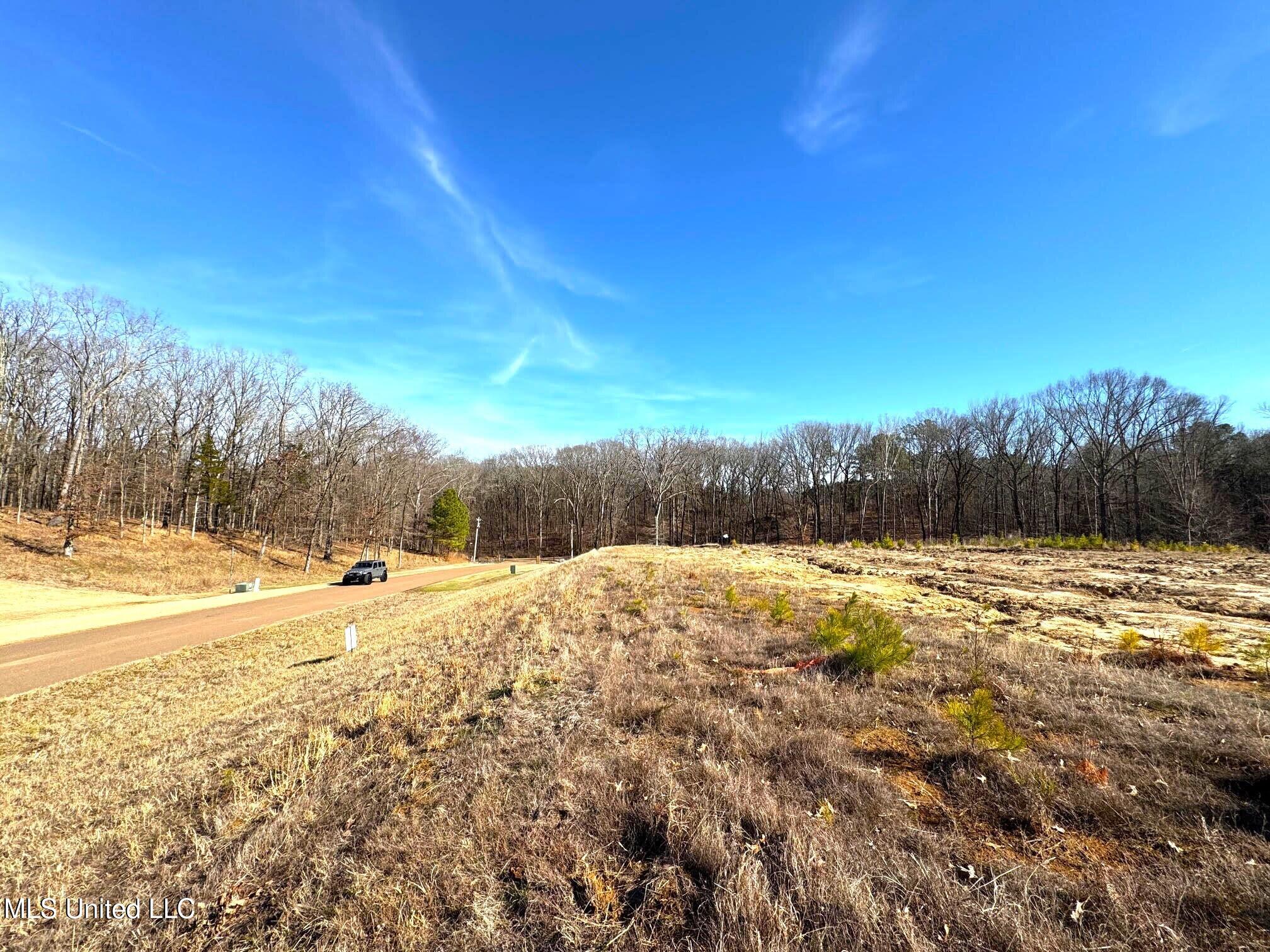 2939 Cyrene Drive Hernando, MS 38632 - Photo 4 of 15 Gray's Creek Lot 35
