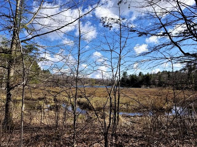 Lot 2 Payment Lake Road Mercer, WI 54547 - Photo 16 of 26 Gallery Image 16