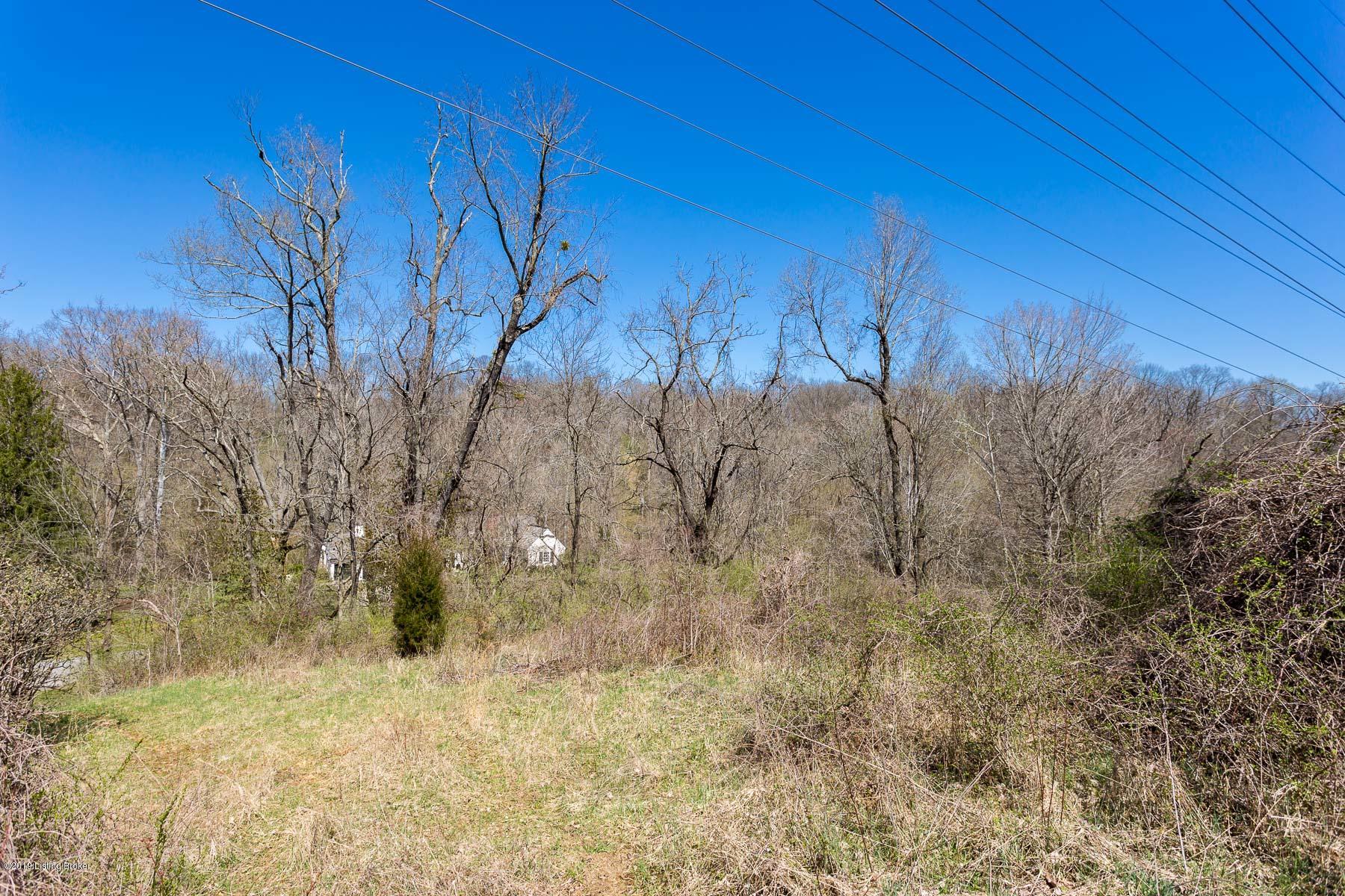 73 Westwind Road Louisville, KY 40207 - Photo 16 of 20 Grounded View