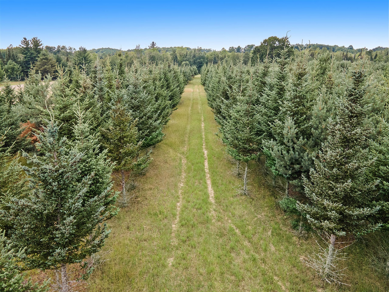 7431 North Dickerson Road Manton, MI 49663 - Photo 51 of 61 Gallery Image 51
