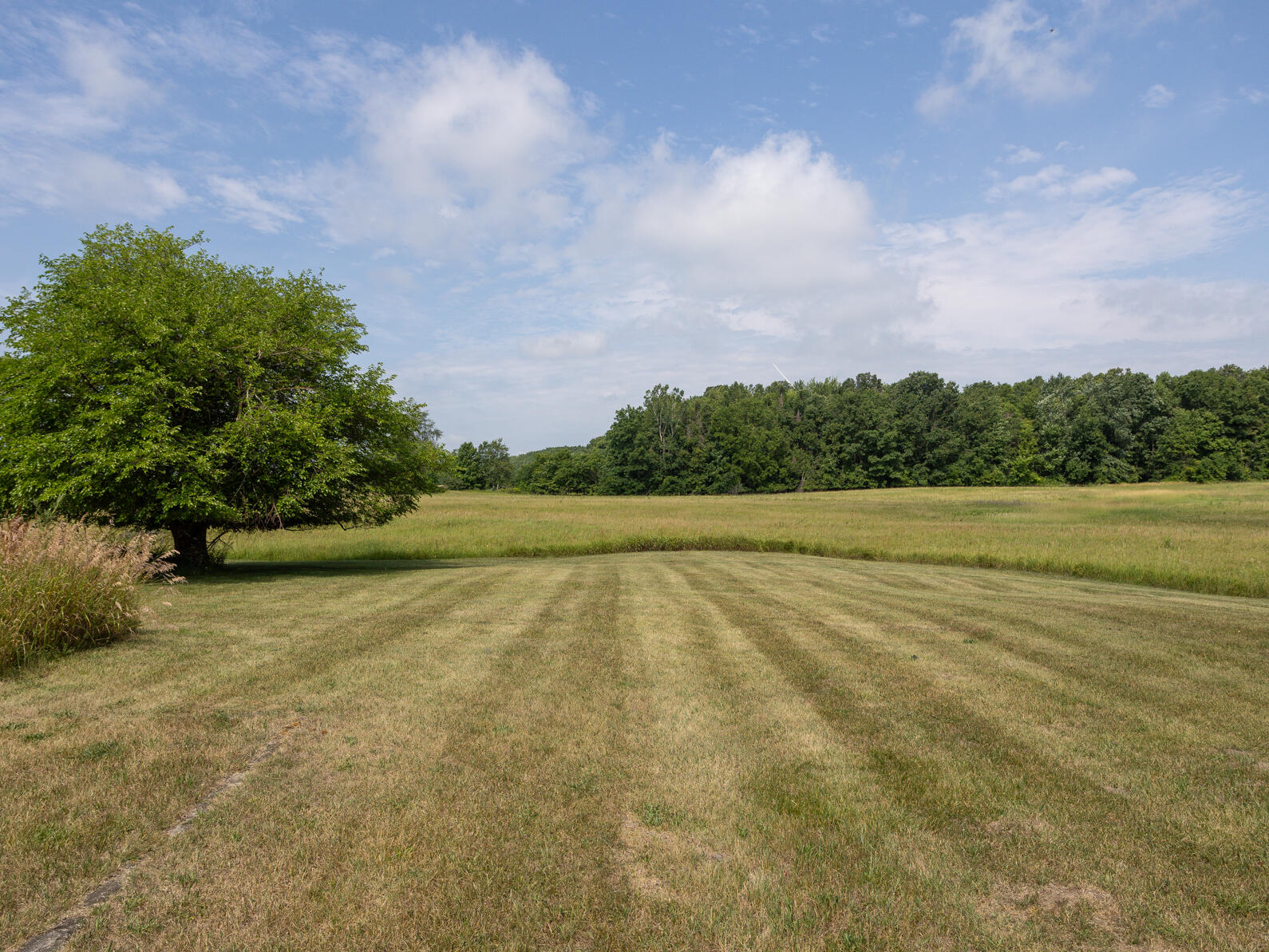 2376 Waldron Road North Adams, MI 49262 - Photo 23 of 31 0N0A6226