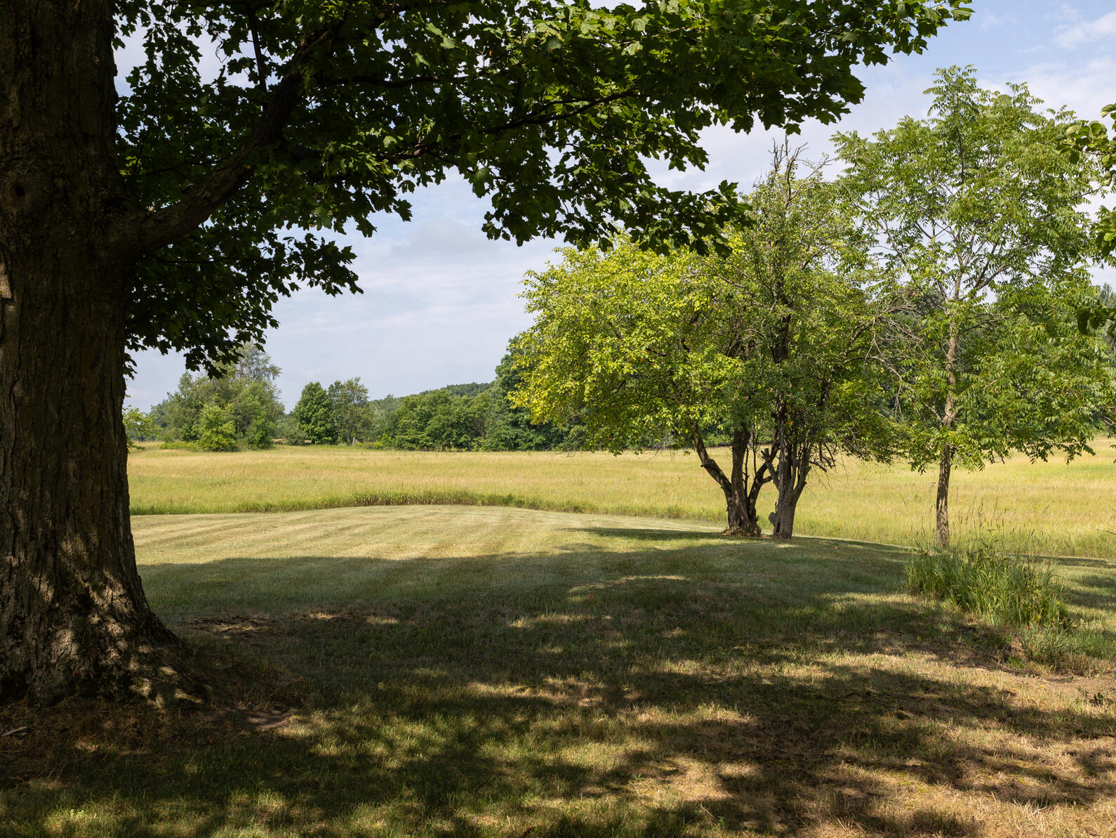 2376 Waldron Road North Adams, MI 49262 - Photo 24 of 31 0N0A6223