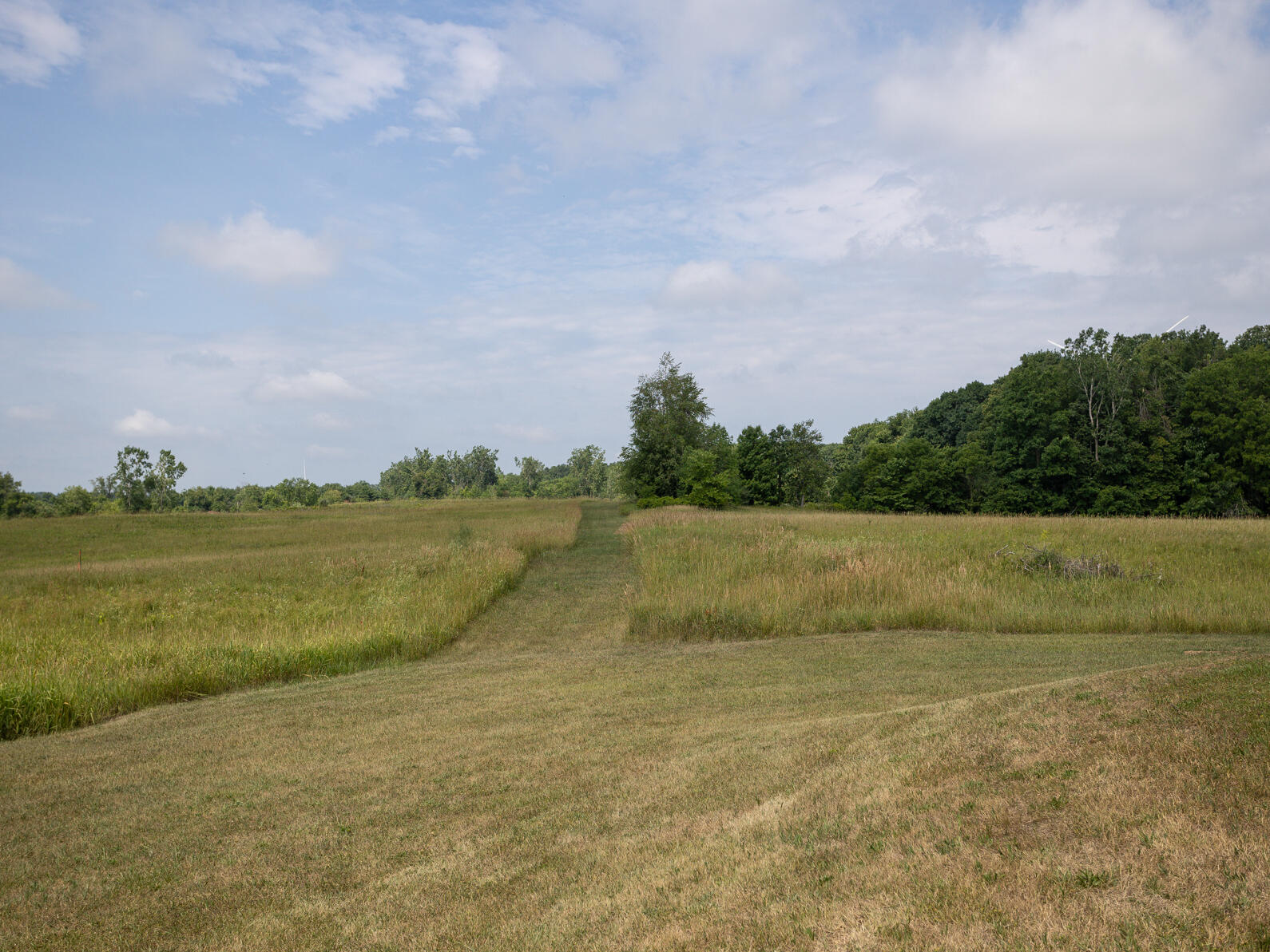 2376 Waldron Road North Adams, MI 49262 - Photo 31 of 31 0N0A6228