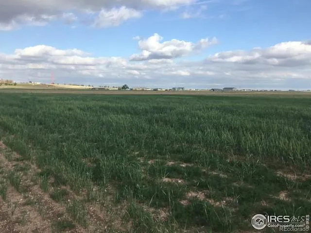a view of a city with lush green forest