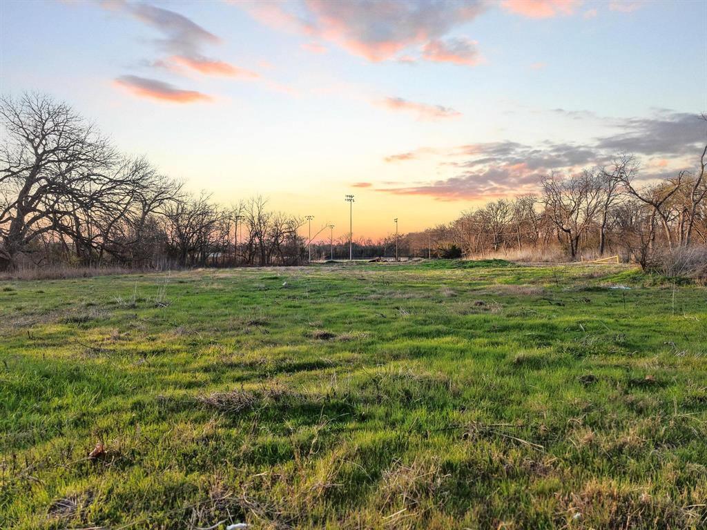 120 Holmes Street, Unit LOT 2 Trenton, TX 75490 - Photo 19 of 21 a grassy field with trees in the background