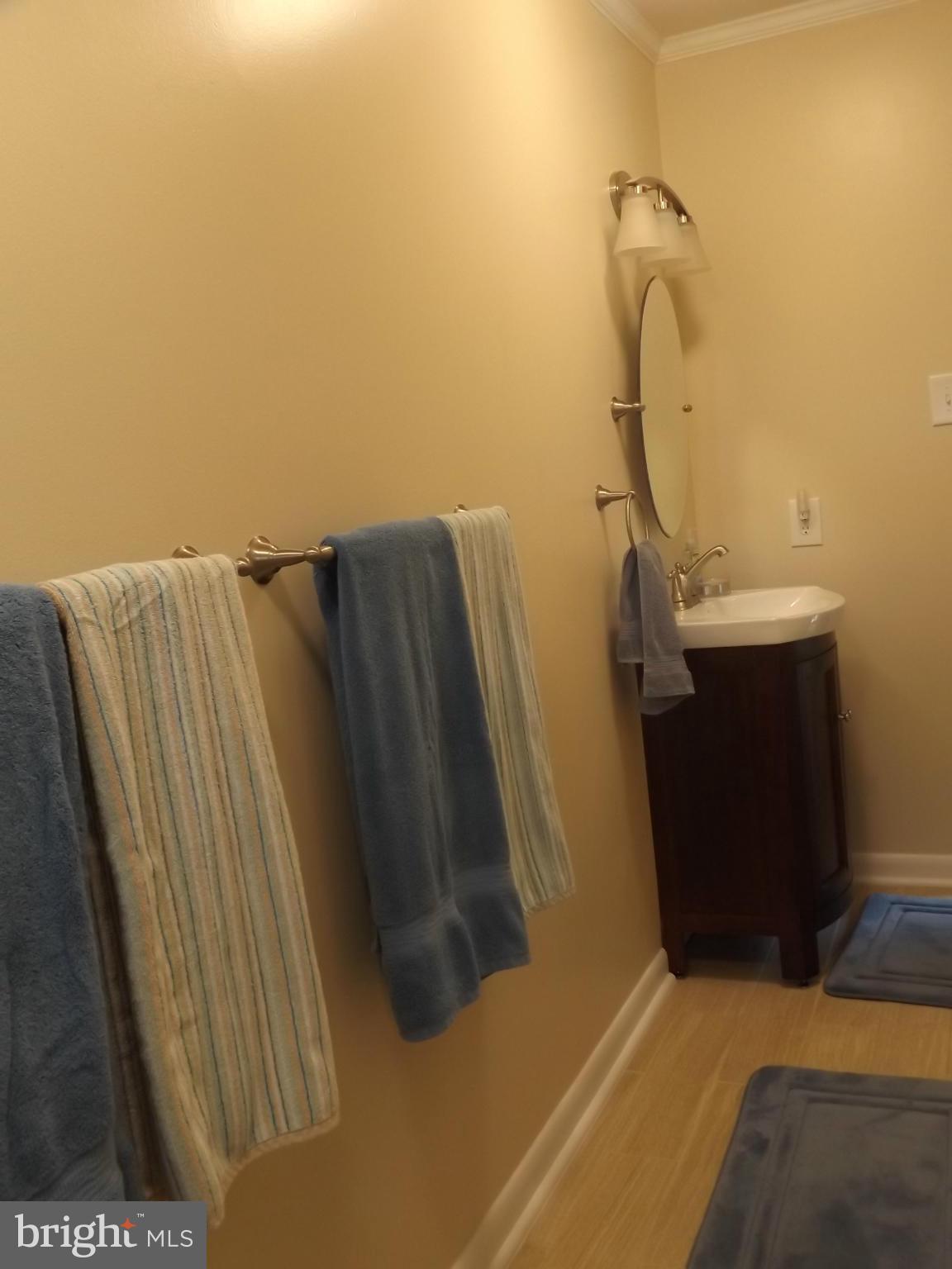 698 Tilthammer Mill Road Boyce, VA 22620 - Photo 23 of 30 Bath