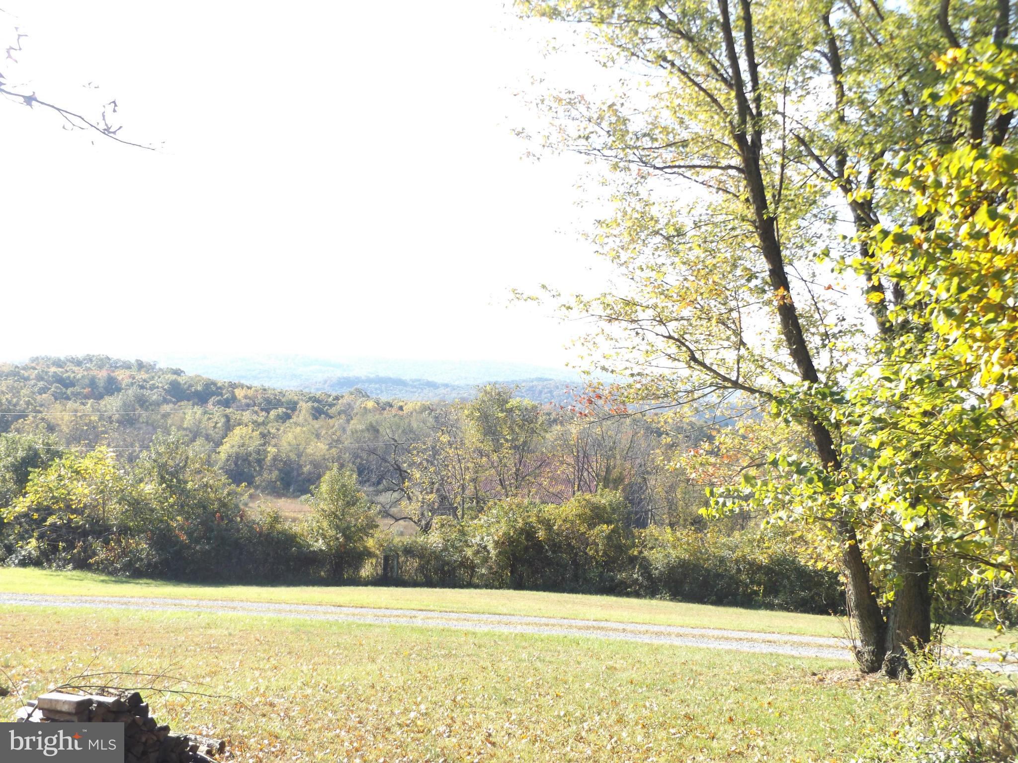 698 Tilthammer Mill Road Boyce, VA 22620 - Photo 29 of 30 View