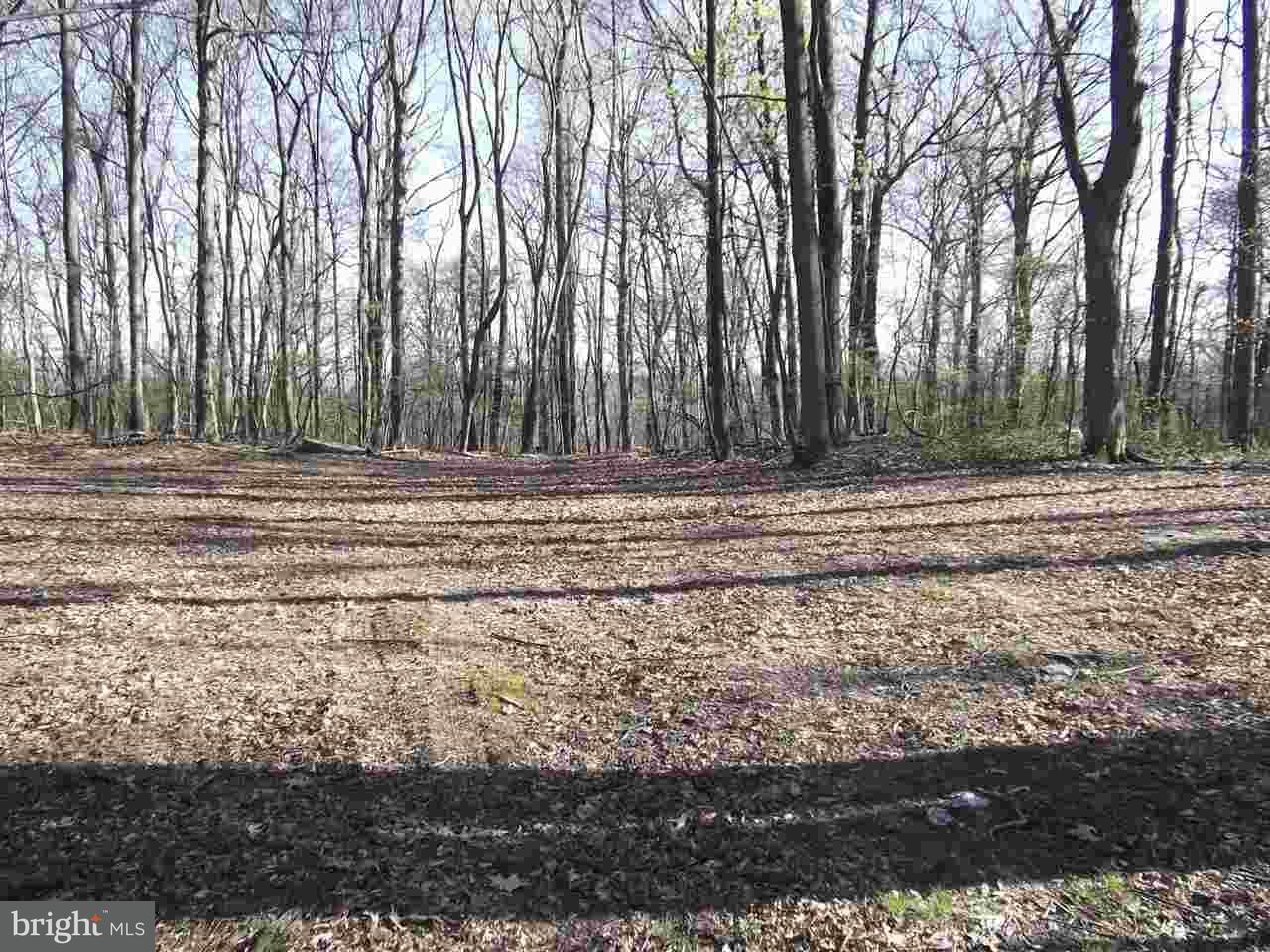 80 Stone Edge Road Aspers, PA 17304 - Photo 11 of 20 Gallery Image 11