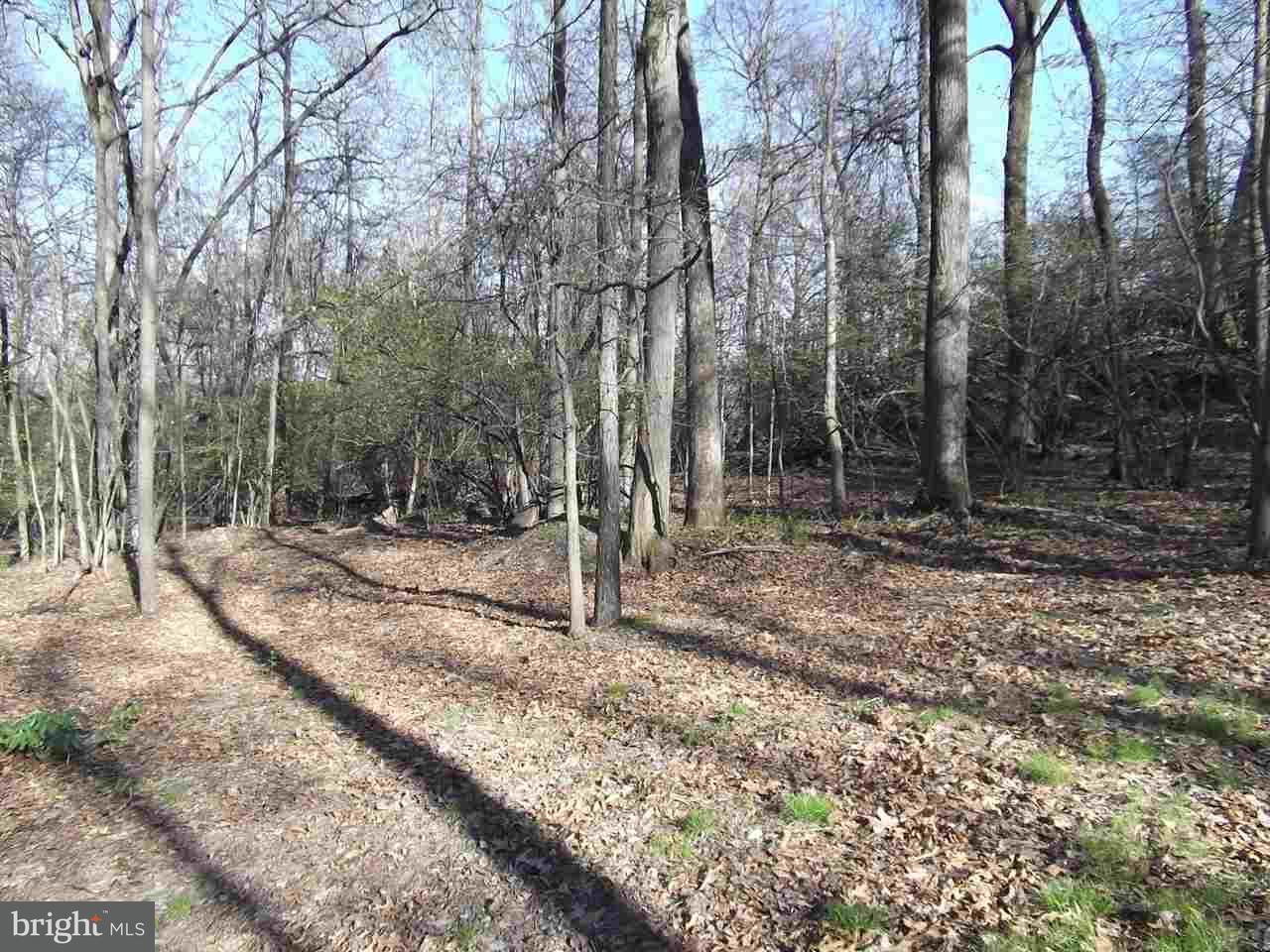 80 Stone Edge Road Aspers, PA 17304 - Photo 10 of 20 Gallery Image 10