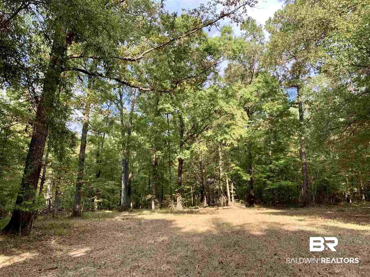 0 Holly Creek Road Stockton, AL 36579 - Photo 28 of 50