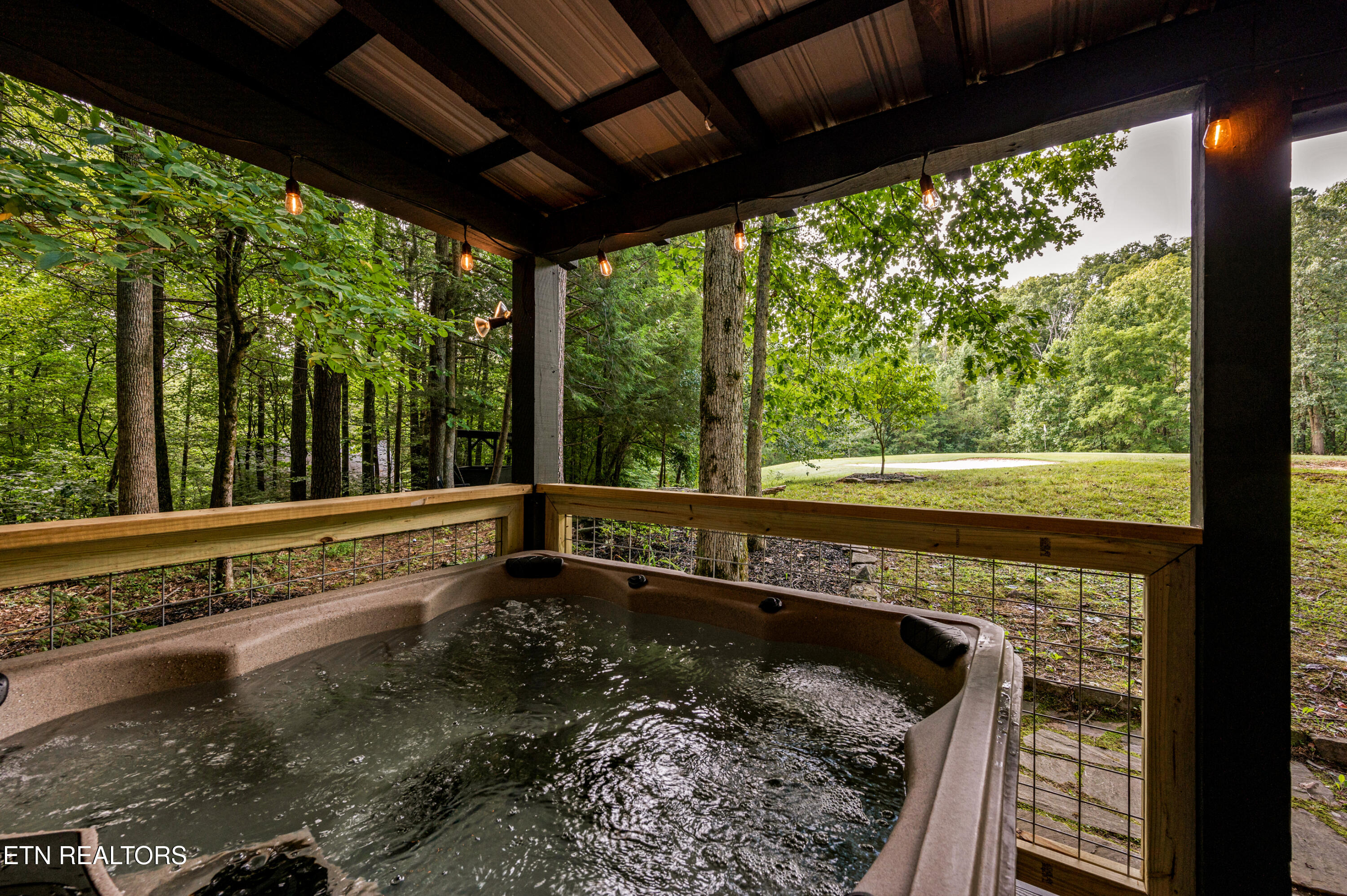 278 Laurel Road Townsend, TN 37882 - Photo 31 of 34 DSC_7370