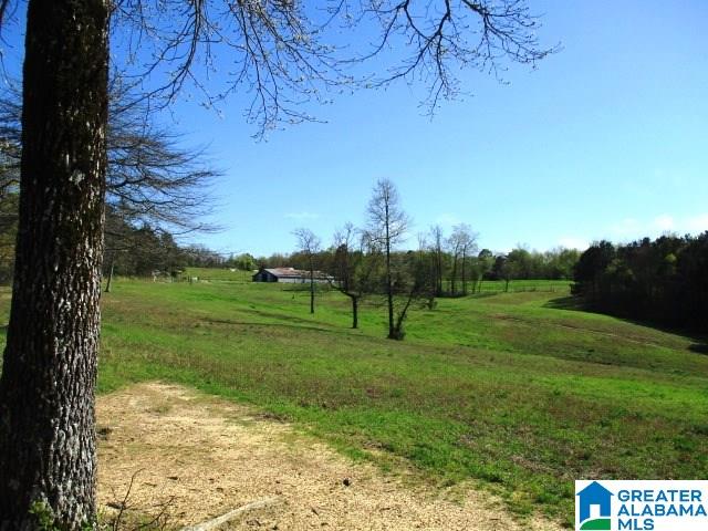 6971 Highway 24 Oneonta, AL 35121 - Photo 37 of 45