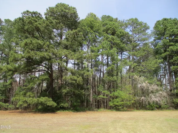 $3,100,000 | 0 Jones Sausage Road, Garner, NC 27529