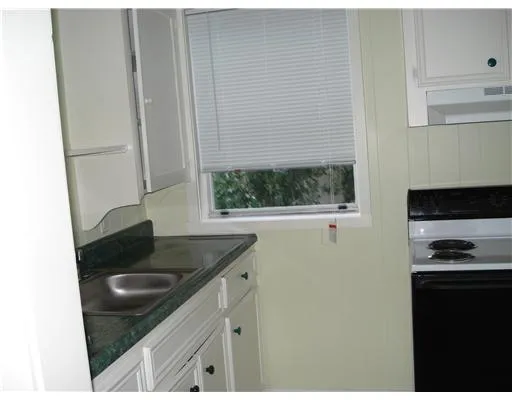 a bathroom with a granite countertop sink and a black and white cabinets