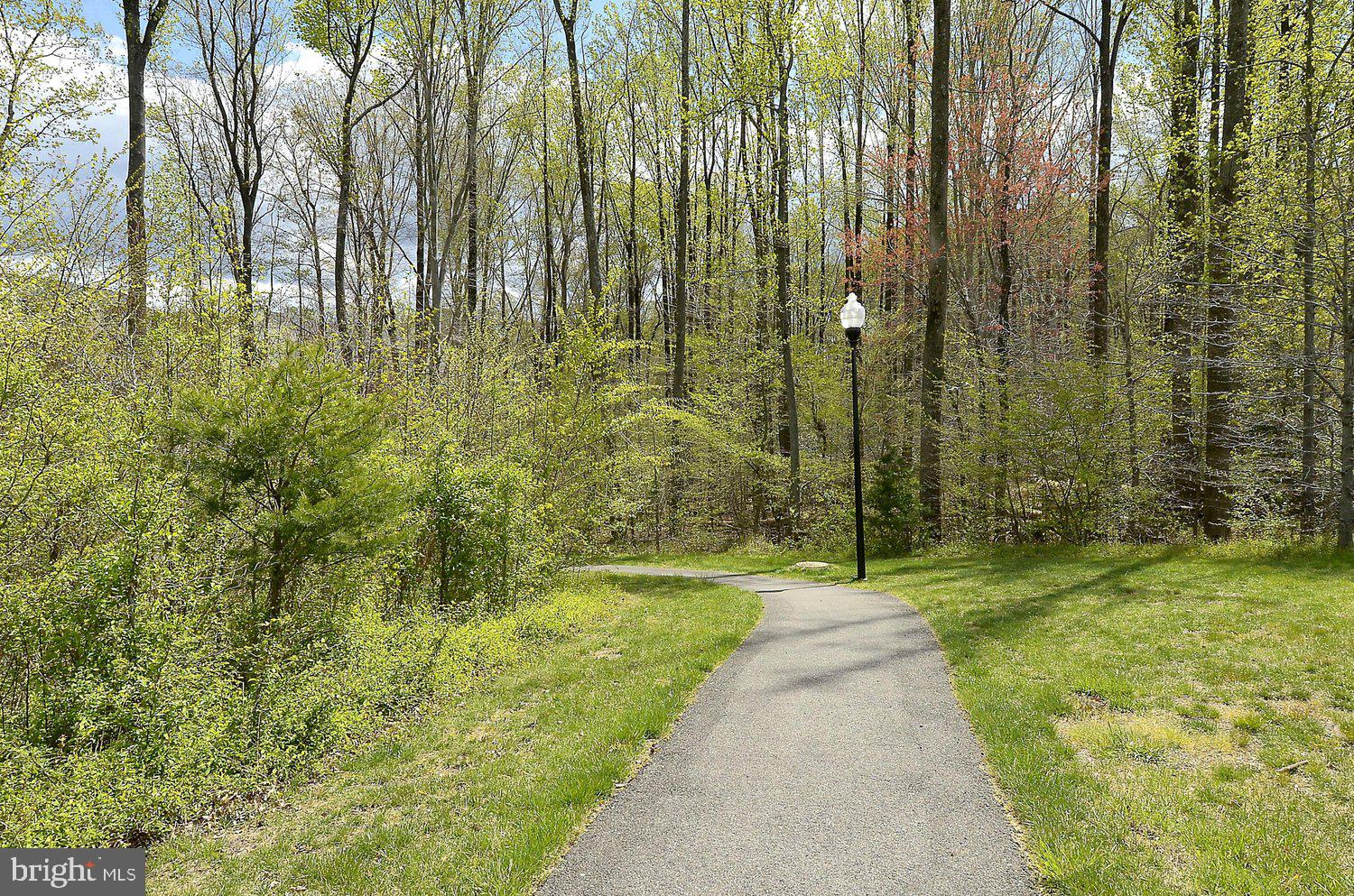 2396 Jostaberry Way Odenton, MD 21113 - Photo 54 of 55 a swimming pool with trees in the background