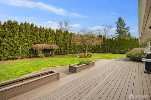 a view of a back yard