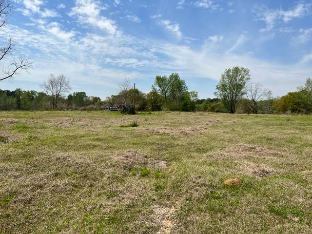 0 Middleton Road Dothan, AL 36301 - Photo 4 of 5