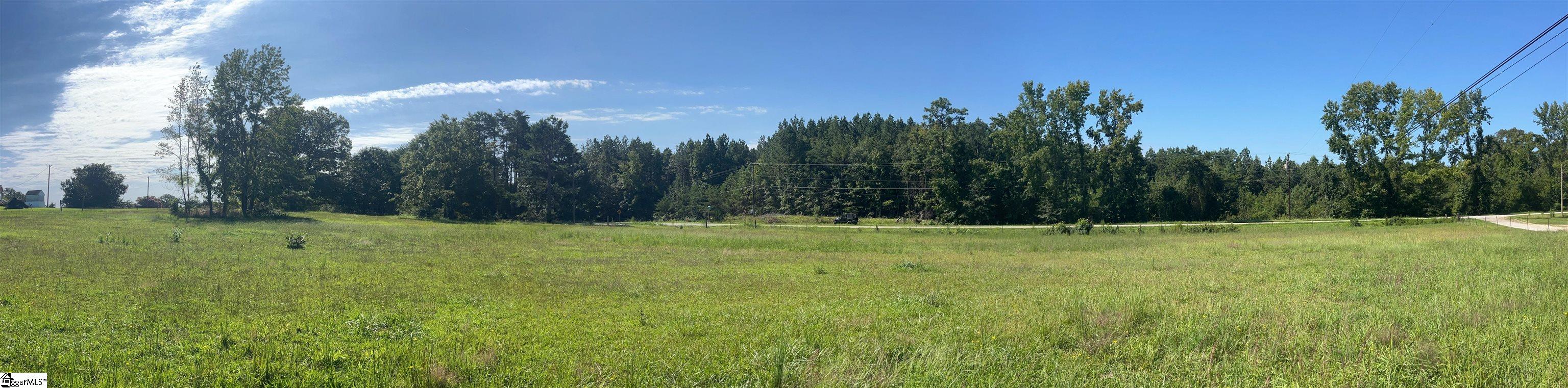 0 McKittrick Bridge Road Fountain Inn, SC 29644 - Photo 11 of 24 Gallery Image 11